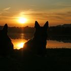 Sonnenuntergang am See