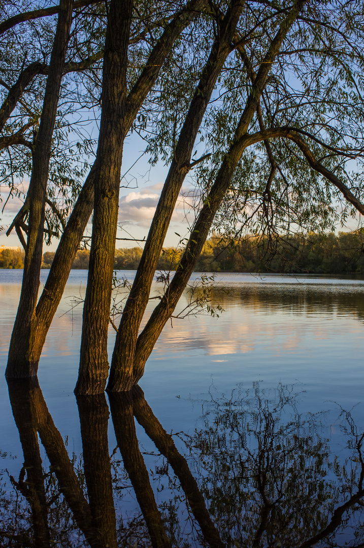 Sonnenuntergang am See