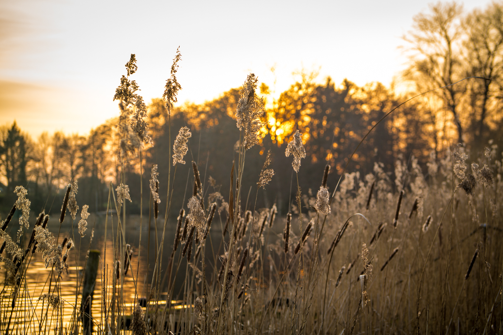 Sonnenuntergang am See