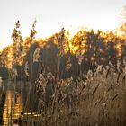 Sonnenuntergang am See