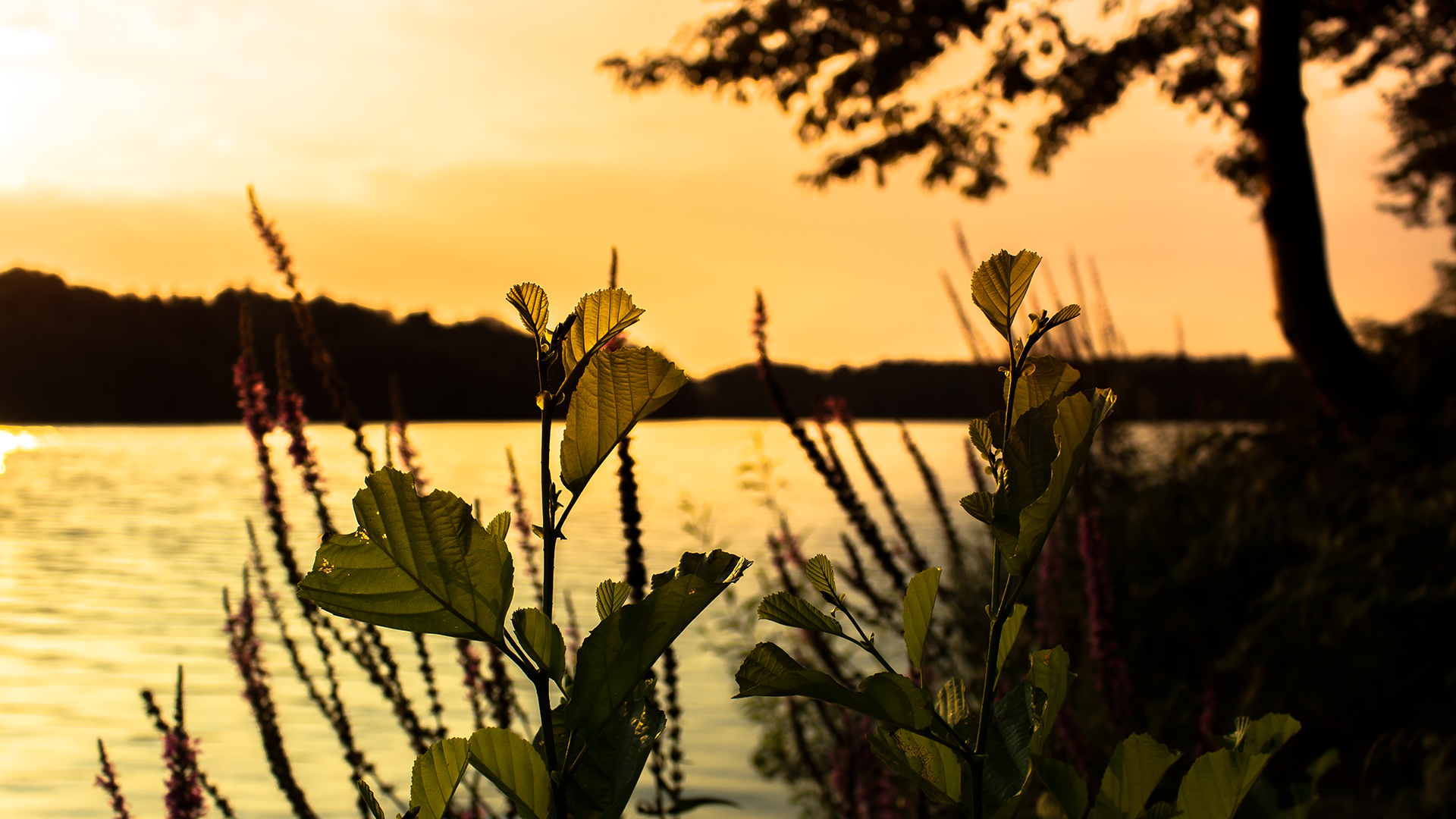 Sonnenuntergang am See