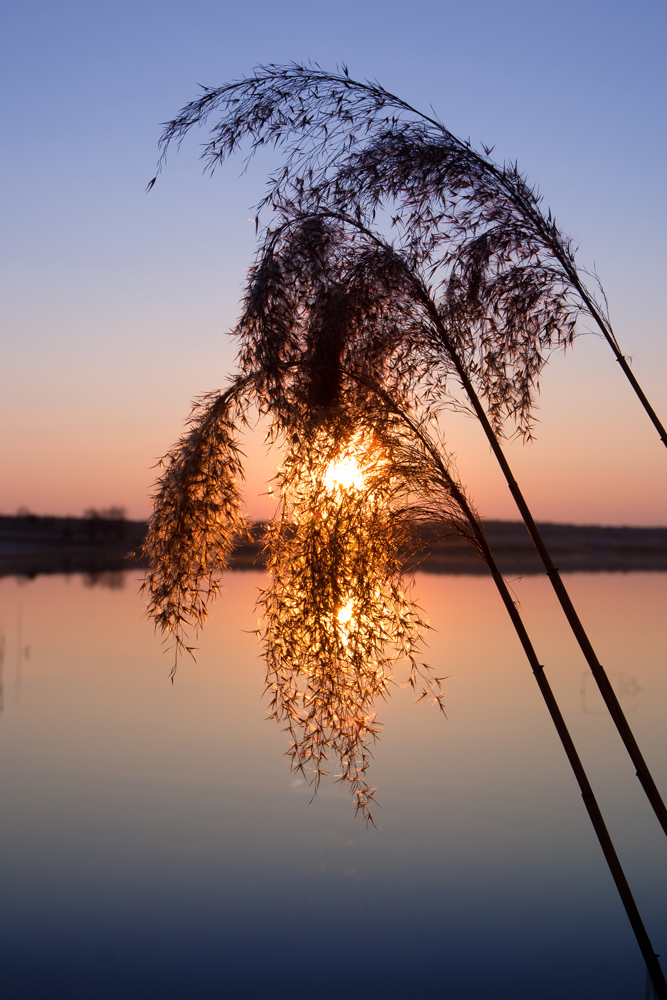 Sonnenuntergang am See