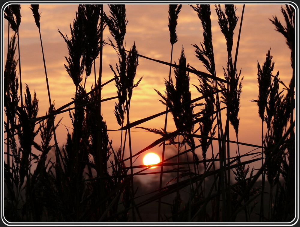 ^^^^ Sonnenuntergang am See ^^^^