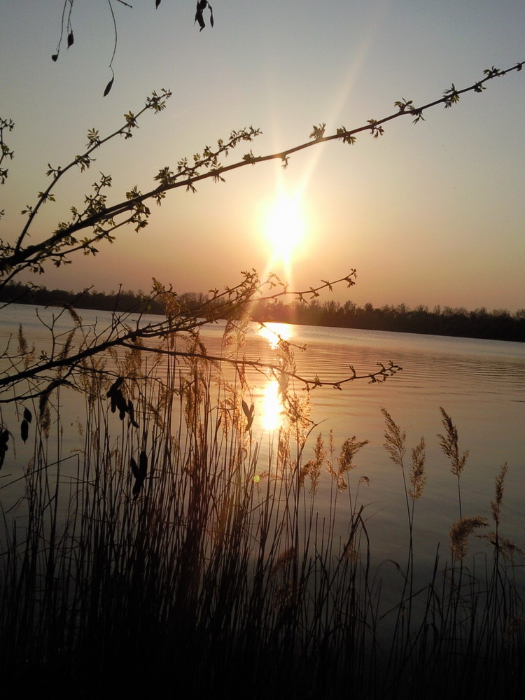 Sonnenuntergang am See