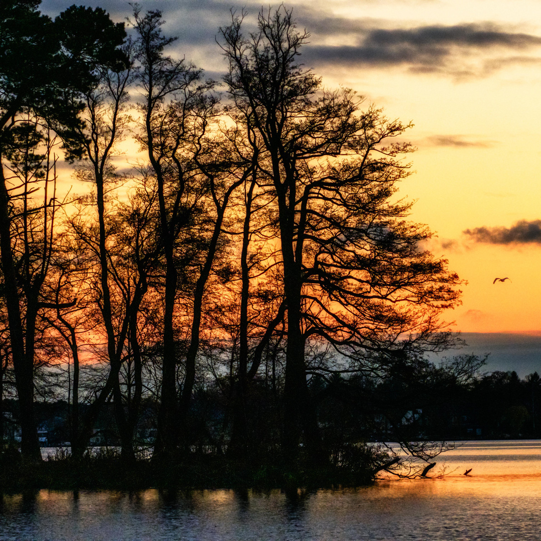 Sonnenuntergang am See (grosse Krampe)