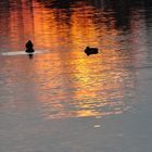 Sonnenuntergang am See in Langenhagen