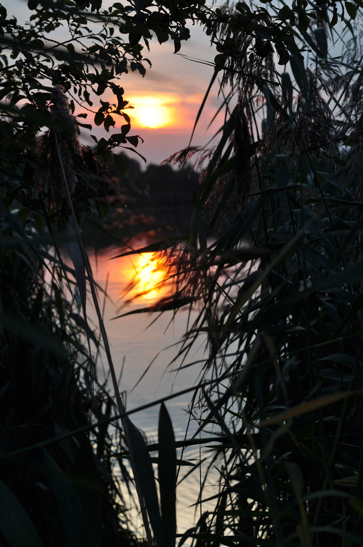 Sonnenuntergang am See in Langenhagen Teil 2