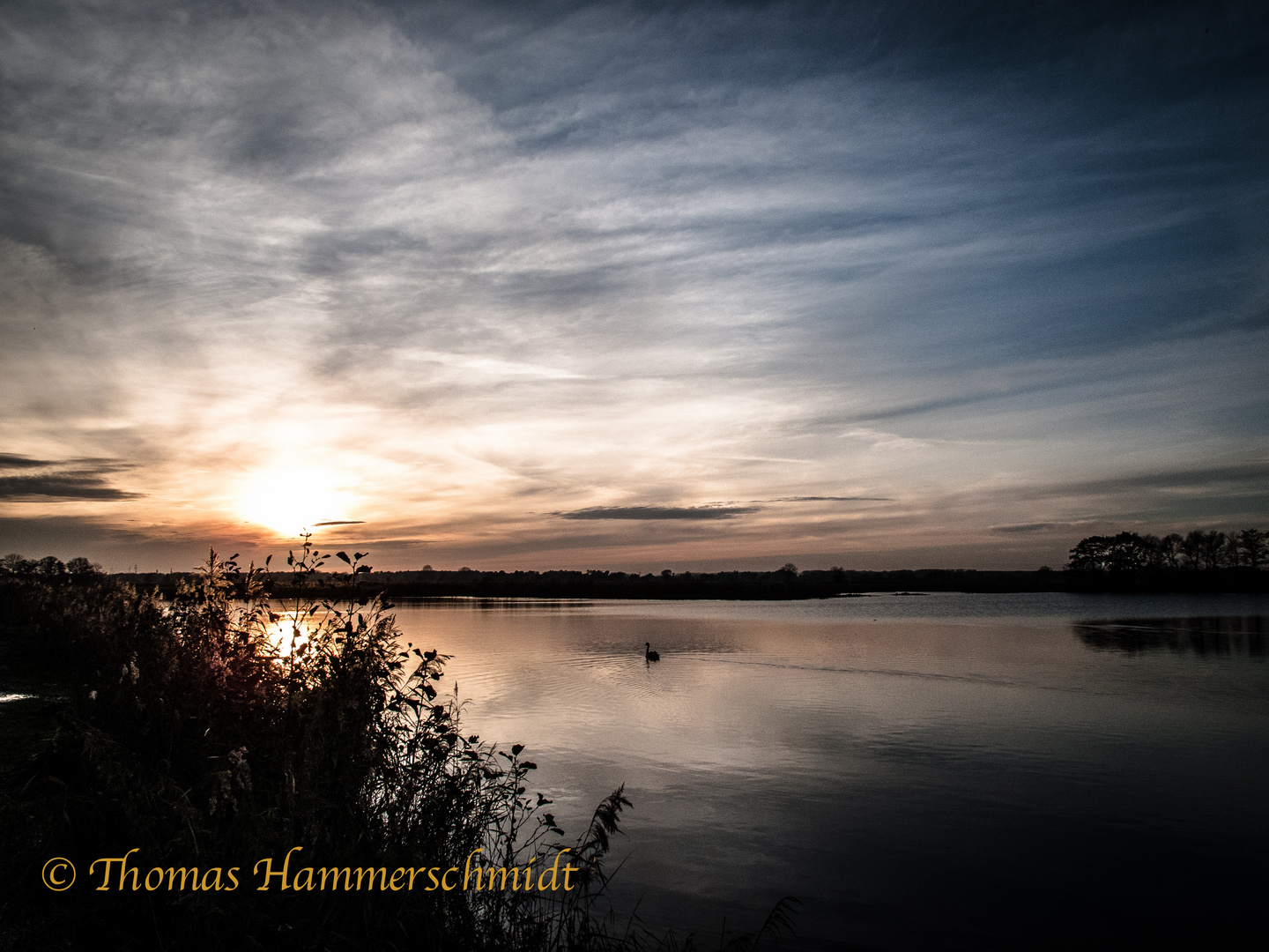 Sonnenuntergang am See mit Schwan