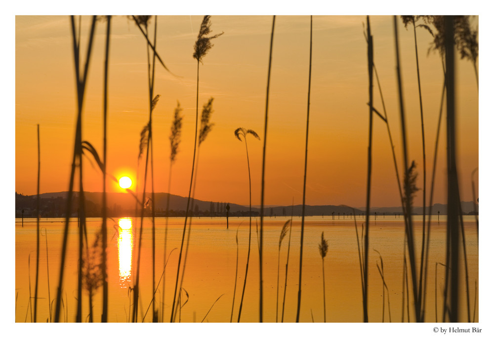 Sonnenuntergang am Seerhein