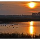 Sonnenuntergang am Sehlendorfer Binnensee