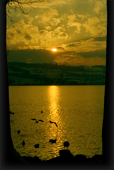 Sonnenuntergang am Sempachersee