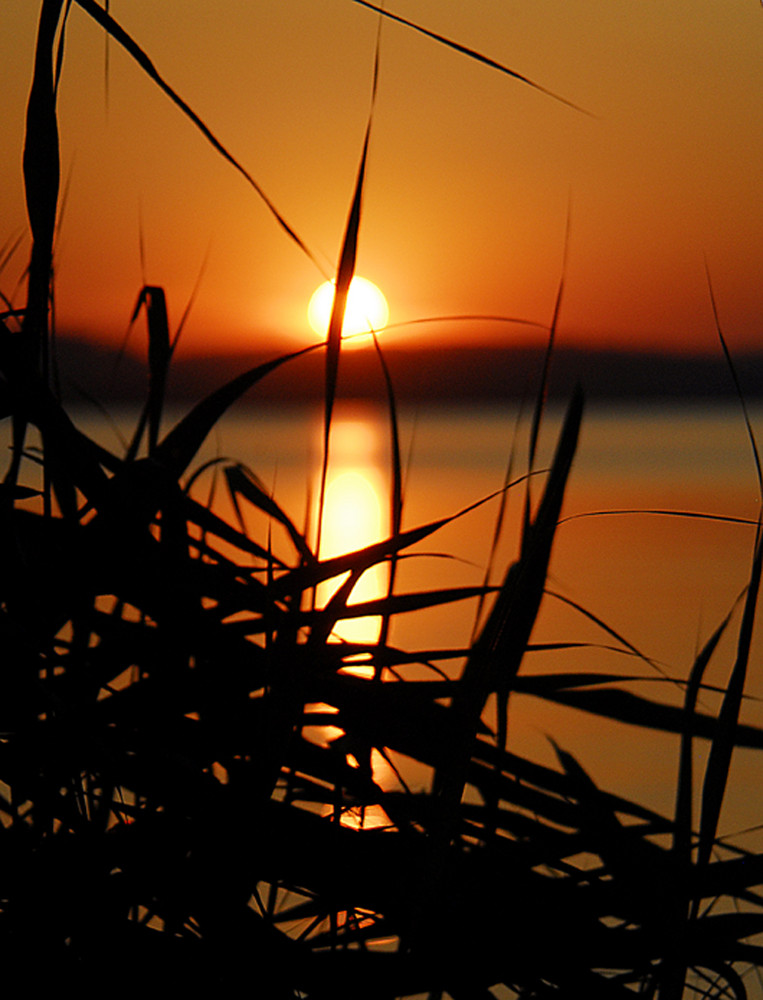 Sonnenuntergang am Sempachersee