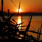 Sonnenuntergang am Sempachersee