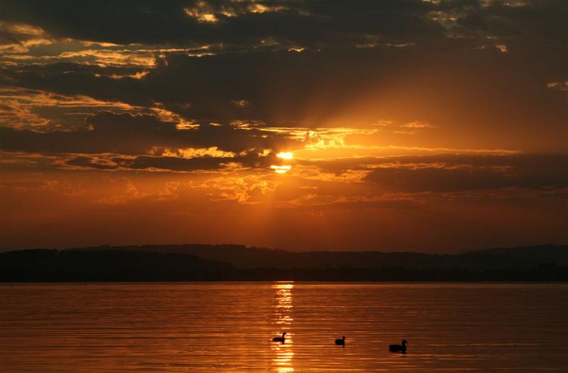 Sonnenuntergang am Sempachersee mit Entlein