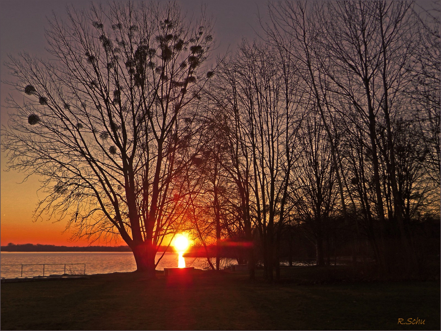 Sonnenuntergang am Senftenberger Hafen