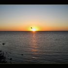 Sonnenuntergang am Spencer Gulf