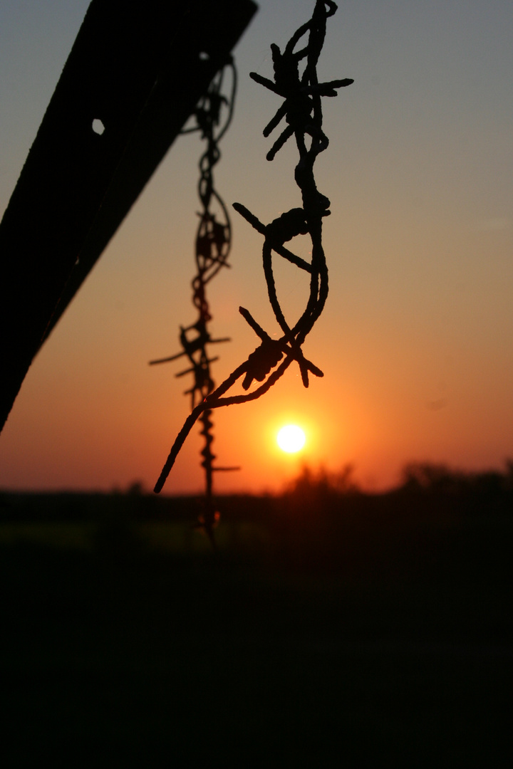 Sonnenuntergang am Stacheldrahtzaun