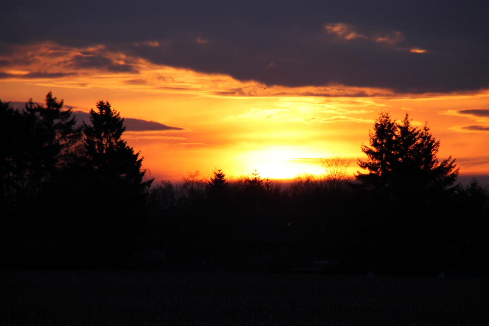 Sonnenuntergang am Stadtwald