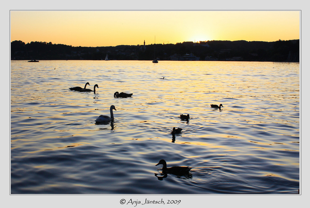 Sonnenuntergang am Starnberger See