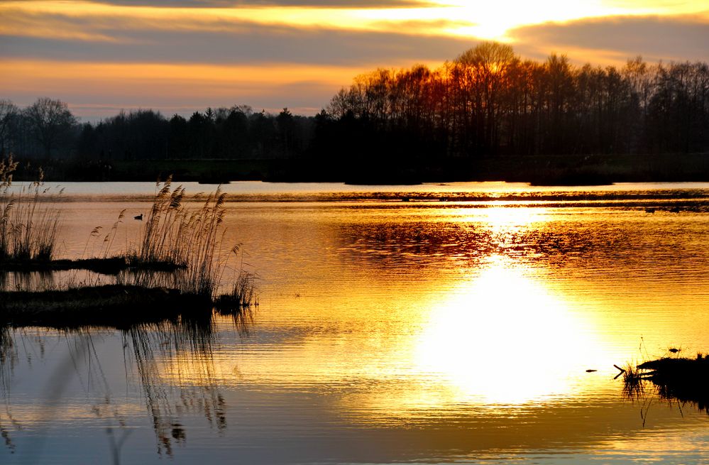 Sonnenuntergang am Steinhorster Becken