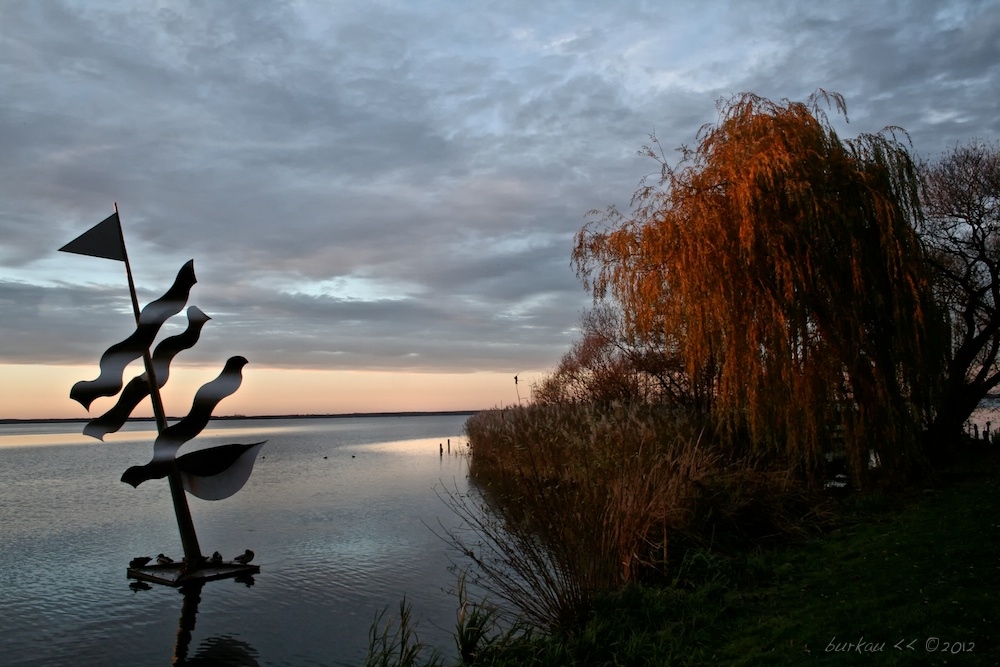 Sonnenuntergang am Steinhuder Meer