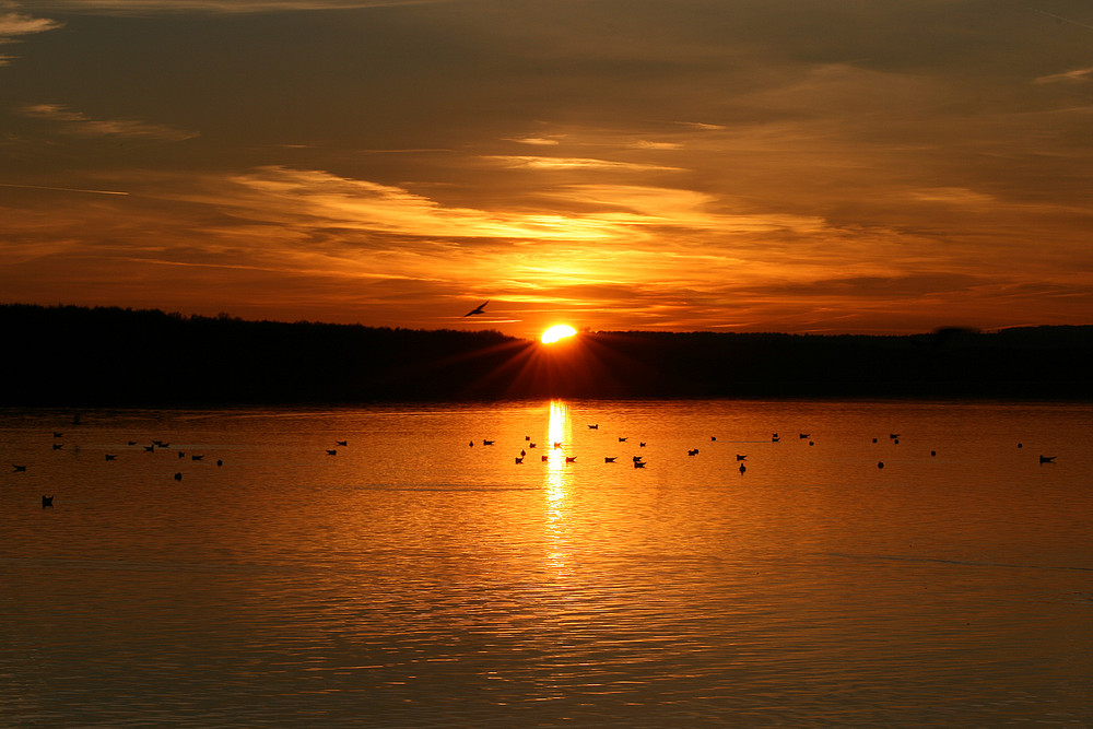 Sonnenuntergang am Steinhuder Meer #2