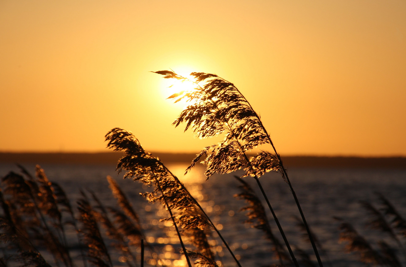 Sonnenuntergang am Steinhuder Meer