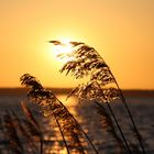 Sonnenuntergang am Steinhuder Meer