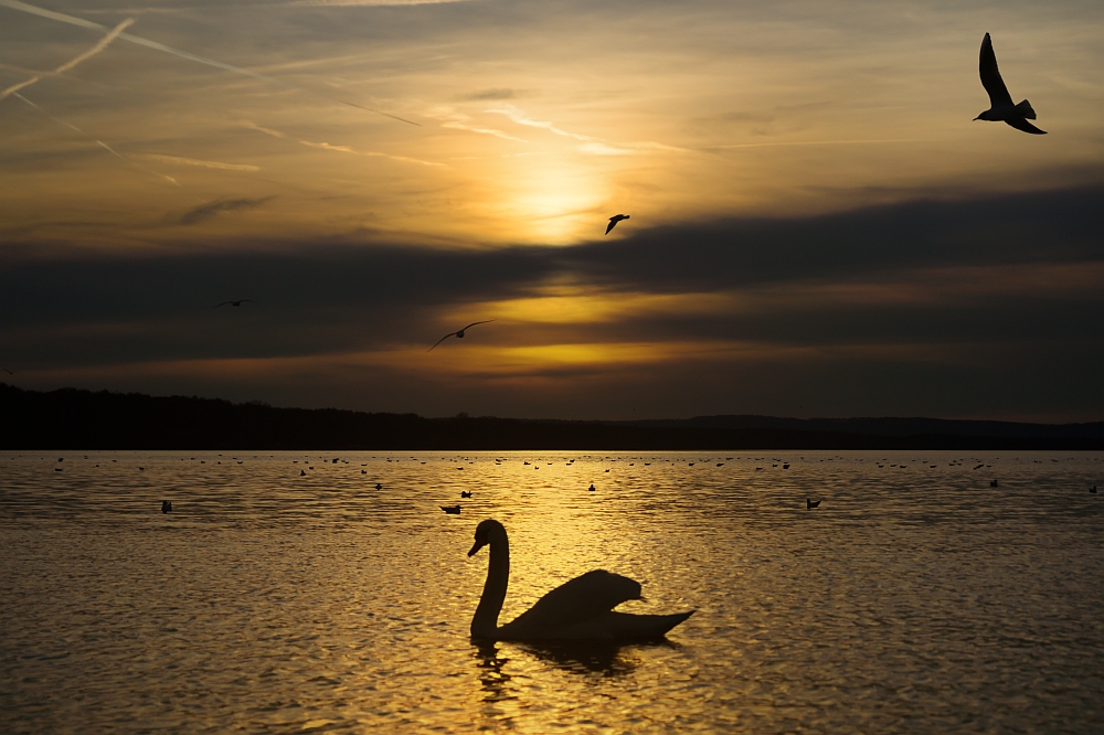 Sonnenuntergang am Steinhuder Meer