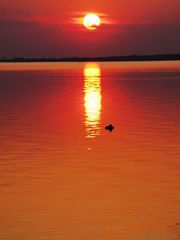 Sonnenuntergang am Steinhuder Meer