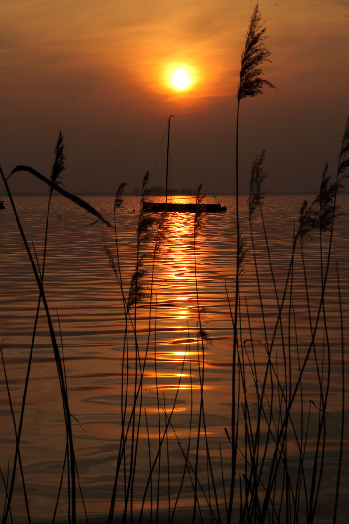 Sonnenuntergang am Steinhuder Meer