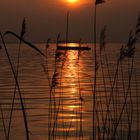 Sonnenuntergang am Steinhuder Meer