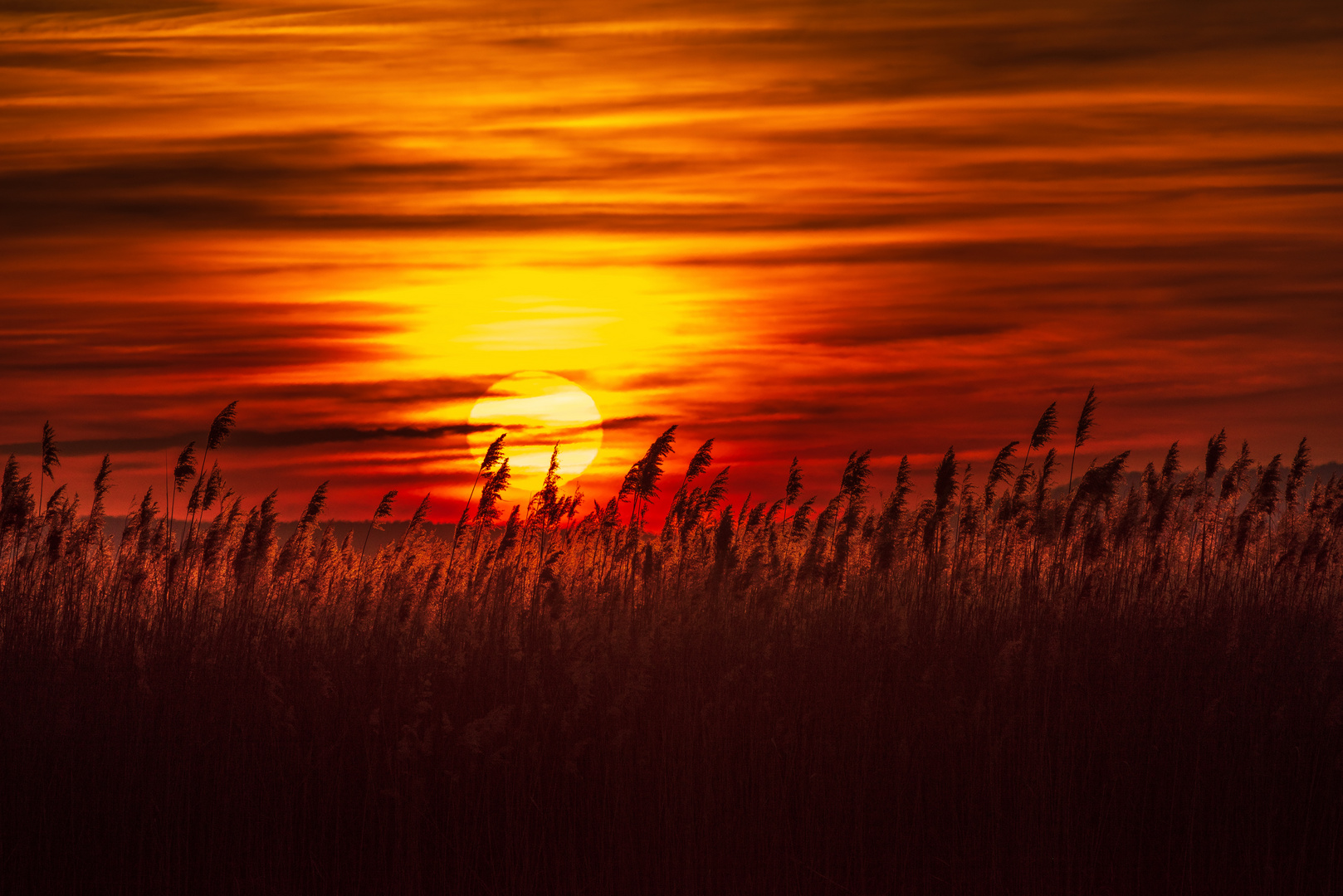 Sonnenuntergang am Steinhuder Meer