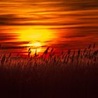 Sonnenuntergang am Steinhuder Meer