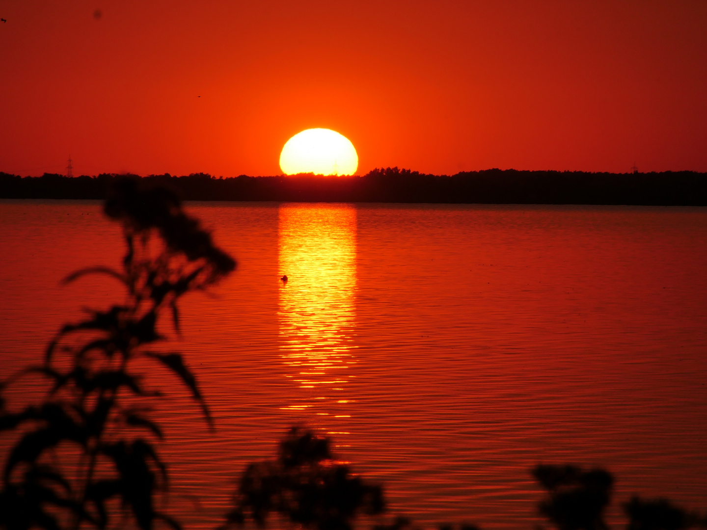 Sonnenuntergang am Steinhuder Meer 