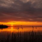 Sonnenuntergang am Steinhuder Meer