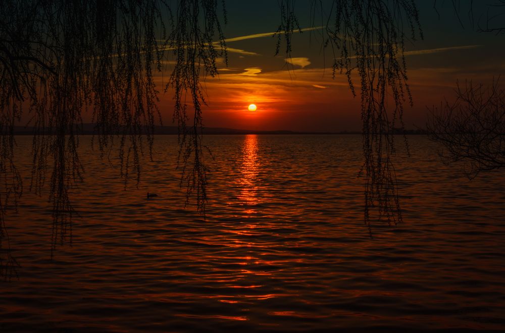 Sonnenuntergang am Steinhuder Meer