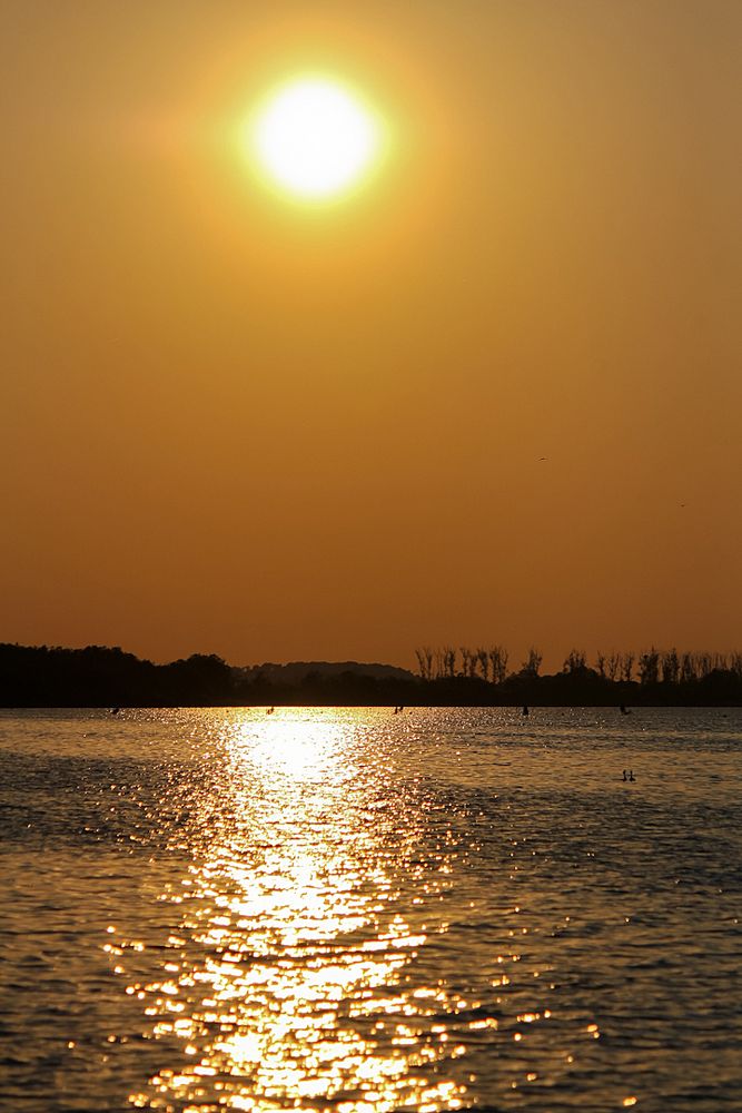 Sonnenuntergang am Steinhuder Meer (Hagenburg) #2