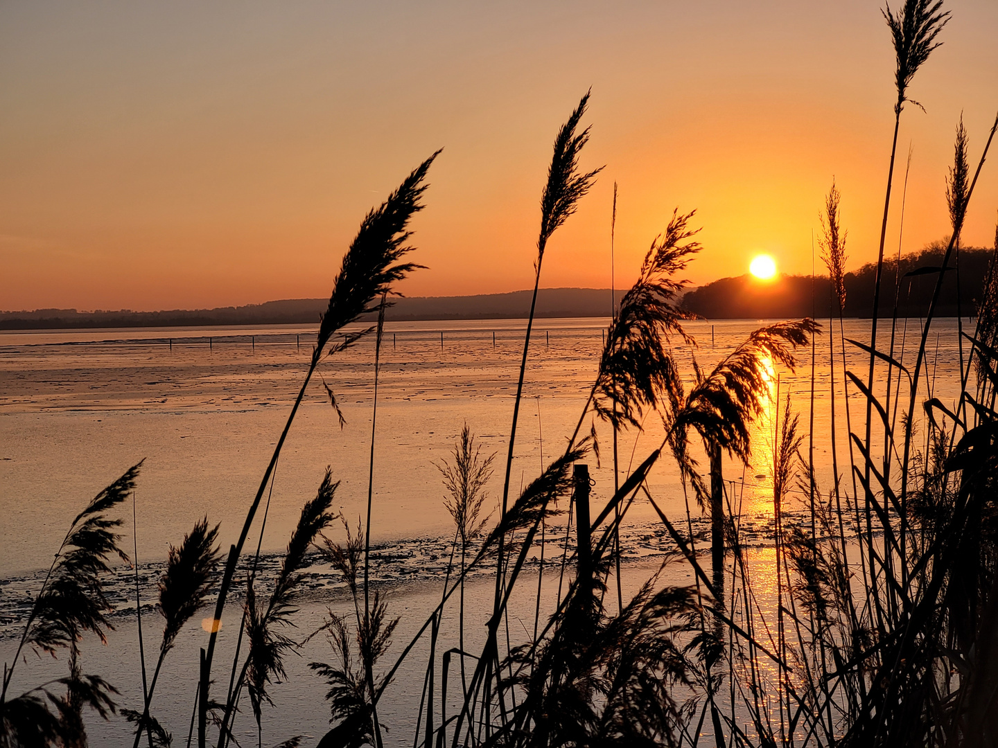 Sonnenuntergang am Steinhurder Meer I