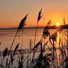 Sonnenuntergang am Steinhurder Meer I