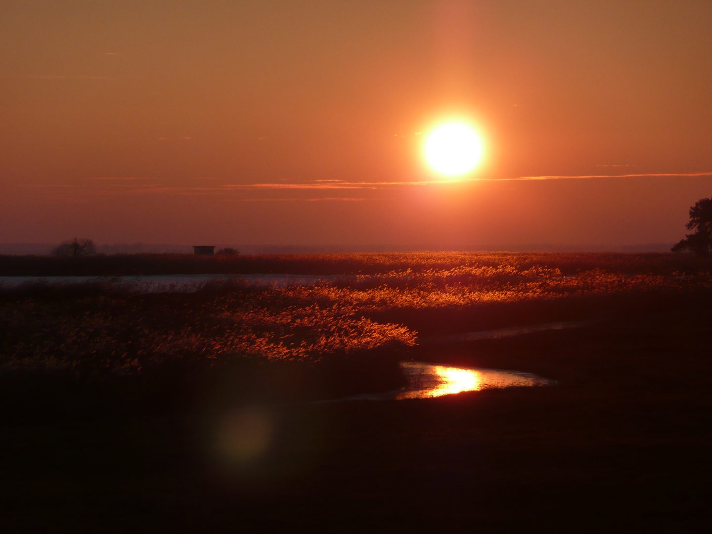 Sonnenuntergang am Stettiner Haff