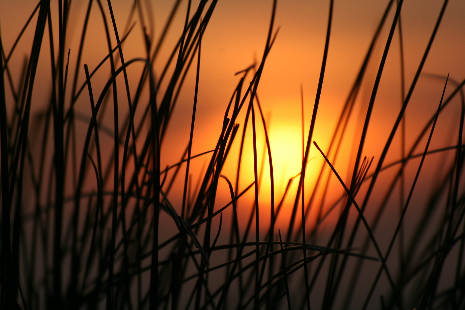 Sonnenuntergang am Strand...