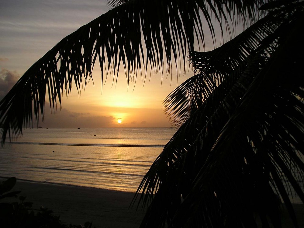 Sonnenuntergang am Strand ... von Harry Neumayer 