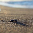 Sonnenuntergang am Strand