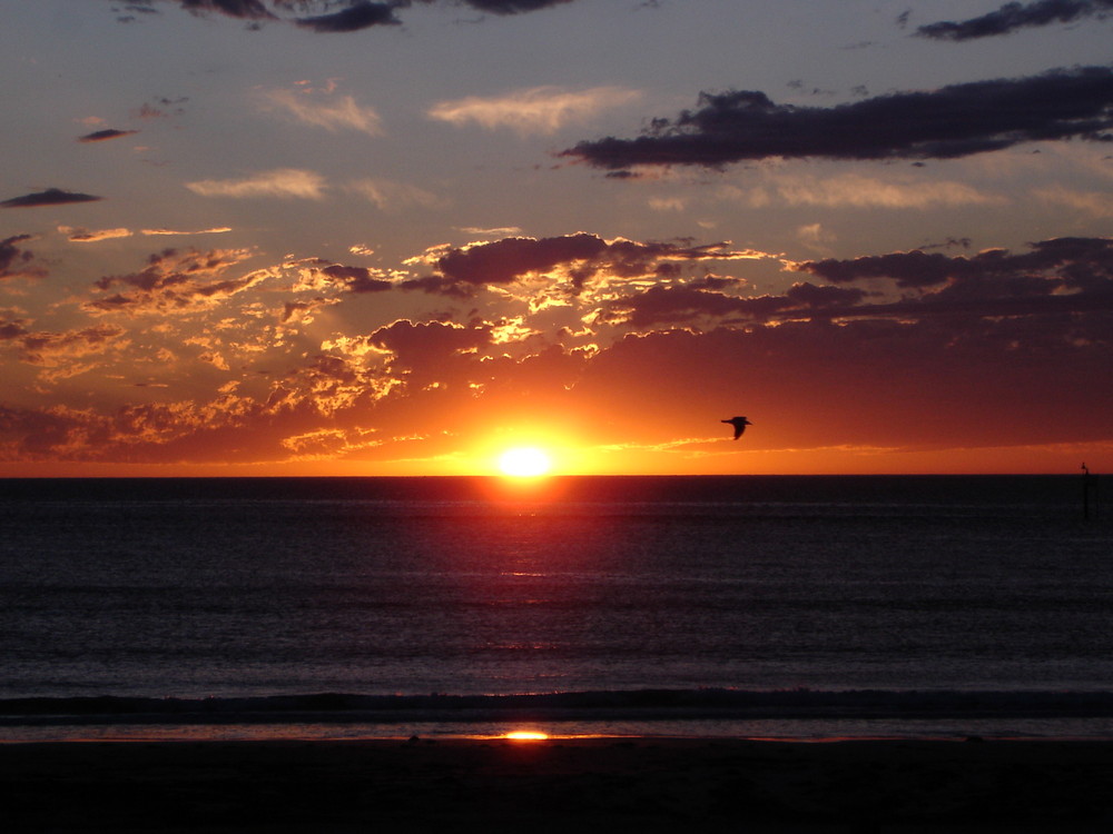 Sonnenuntergang am Strand von Adelaide