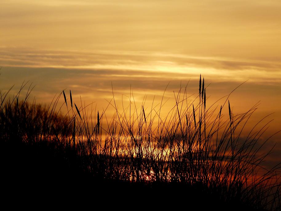 Sonnenuntergang am Strand von Ahrenshoop