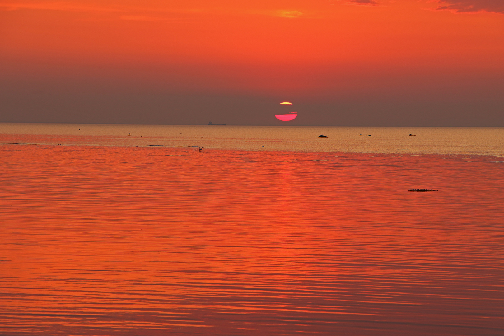 Sonnenuntergang am Strand von Gollwitz