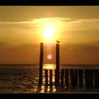 Sonnenuntergang am Strand von Koudekerke (Vlissingen)