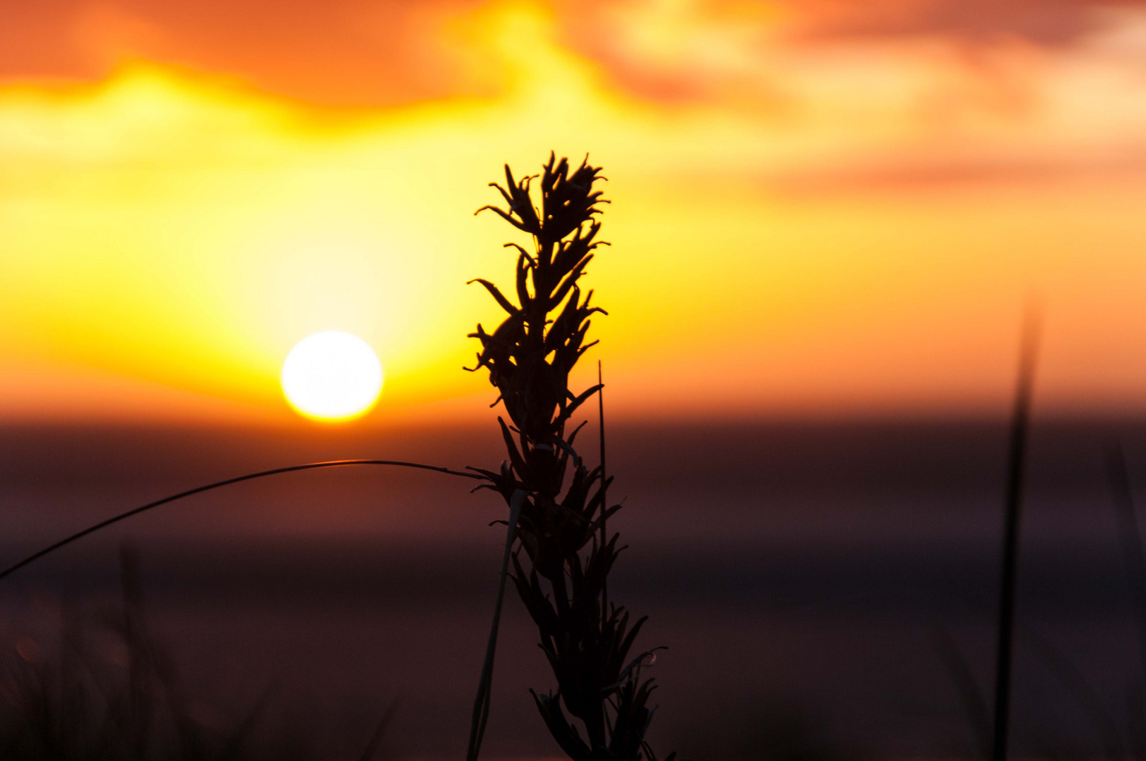 Sonnenuntergang am Strand von Langeoog