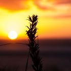 Sonnenuntergang am Strand von Langeoog